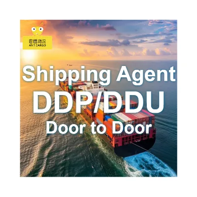 China to South Africa/Morocco Sea Freight Shipping Agent | Reliable Container Shipping FCL/LCL