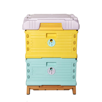 Insulated Plastic Bee Hive Honey Bee Boxes for Sale