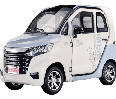 4 Wheel Electric Car with Canop Factory Direct Sale New Energy Vehicles for Passenger