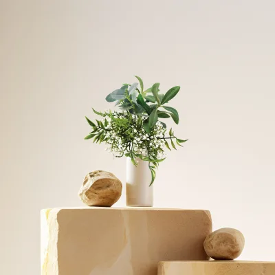 Wholesale Wild Fruit with Olive Bundle for Back to School Decorative Flowers Wreaths and Plants