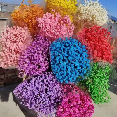 120g 430g Premium Preserved Gypsophila Flower Stems for Memory Keepsakes Photo Shoot Props Custom Gift Packaging