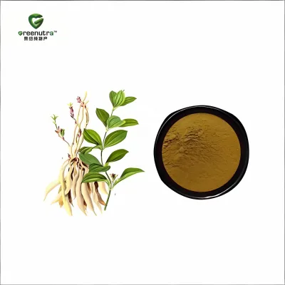 Stemona Extract Radix Stemonae Extract Stemona Root Extract Powder Health Food Grade for Traditional Respiratory Health Formulas