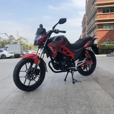 Other Motorcycle