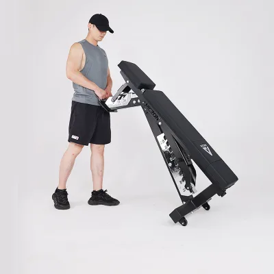 Adjustable Steel Q235 Dumbbell Weight Bench Multi-Position Flat Incline Decline Modern Gym Full Body Strength Training