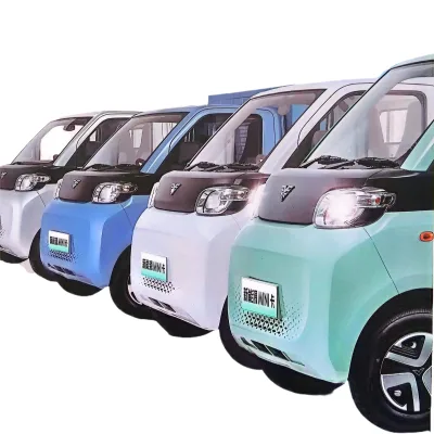 Chinese Manufacturer Low Price Pure Lithium Electric Automatic Mini Car for Cargo Transport