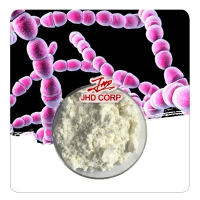 USA EU Warehouse Factory Supplies Yogurt Starter Culture Streptococcus Thermophilus Probiotics Powder 10 Billion CFU