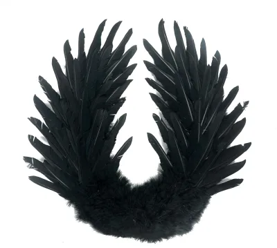 Fairy Feather Angel Wing for Adult Christmas Gift Angel Wings Wall Decor Bulk Plume Carnival Natural Feather