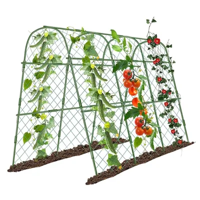 Garden Decor Tunnel Metal Climbing Plant Support Flowers Trellis Arbor
