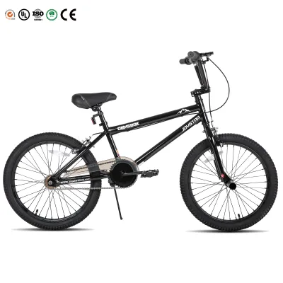 JOYKIE 20/24 Inch Freestyle Bike Features High Tensile Steel Frame and Dual V-brakes, Suitable for Boys and Girls.
