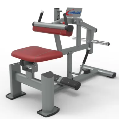 Strength Training Equipment Plate Loaded Fitness Equipment Steated Calf