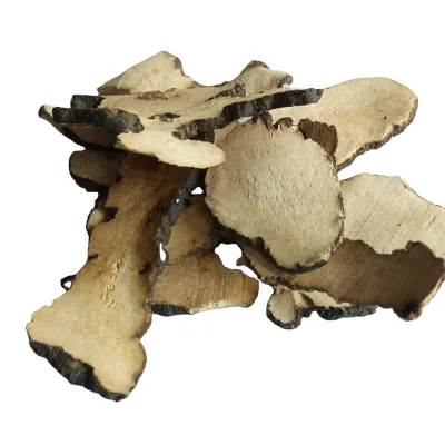 Wild Natural Dried Cuts Grifola Umbellata Pilat Dried Well Grifola Umbellata for Sale