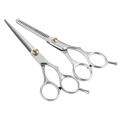 6.0 Inch Hair Scissors Shears Set Barber Shears Set Hairdressing Cutting Shears and Thinning Texturizing Scissors Kit Key Chain
