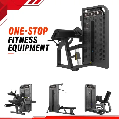 WENDY Multifunctional 45° Camber Curl Factory Direct Strength Training Bicep Curl Gym Machine for Gym Clubs