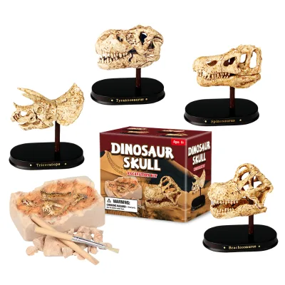 Birthday Gift Dino Dig Skeleton Kits for Kids Party Fossil Excavation Kit Dig It Out for Dinosaur Skull