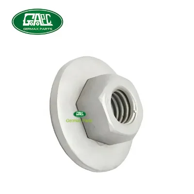 Nut RYH500310 C2C22719 GL4643 for Land Rover GAPC Good Quality Spare Parts