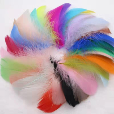 Manufacturers Direct Supply Quality Dyed Goose Feather DIY Color Feathered Dream Catcher Filled Feathers