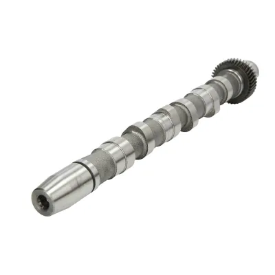 LEFT Exhaust Engine Camshaft 059109022BD 059109022L 059109022P 50006302  High Quality
