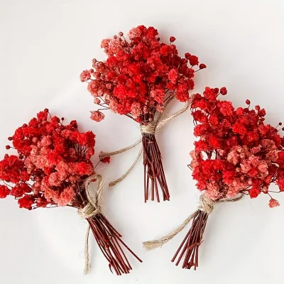 Small Bundles of Dried Red Gypsophila Mini Flowers for Wedding Invitations, Scrapbooking, Candle Making