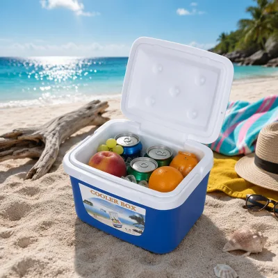 Bearhike Factory Price Mini Cooler Box 5L Capacity Carry Food Fruit Keep Fresh 6 Cans Insulated Cooler Box