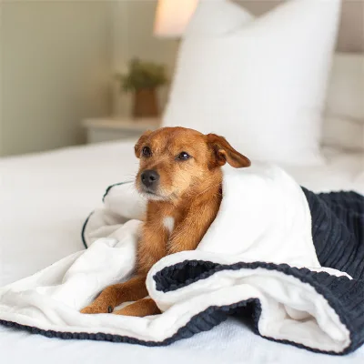 Customized Waterproof Fuzzy Dog Blanket Soft Cozy Skin-Friendly Fabric Washable Easy Clean Luxury Pet Dog Blanket