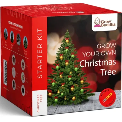 Hot Sale Eco-Friendly Farmhouse Christmas Tree Beginner Kit for Home Garden with Artificial Flower Pots & Planters