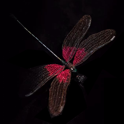 Mechanical Dragonfly 3D DIY Insects Model Metal Assembly Toy Creative Ornament