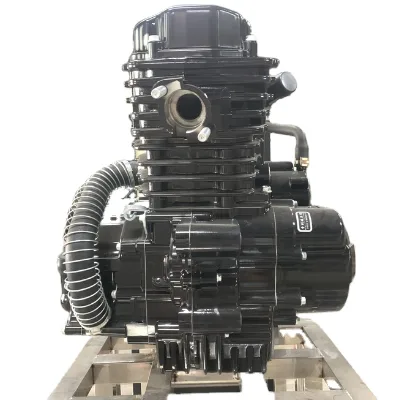 Engine Assembly Water-Cooled Center Axle 250cc Engine Three-Wheel Engine Zongshen Cg250