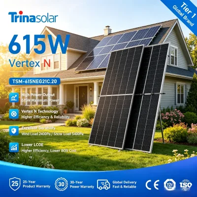 Stable Output Trina N-Type Bifacial Dual Glass Solar Module 610W 22.6% Harness Sunlight Household Generator