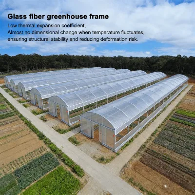 Fiberglass Tube Greenhouse Fiber Glass Rod One Piece Molding No Welds Easy Installation