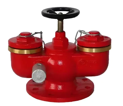 DN150 Underground Fire Siamese Connection, PN16