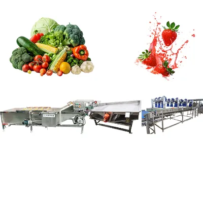 Fruit Washing Machine Ozone Food Washing Machine for Fruit and Vegetable Washing Machine Automatic