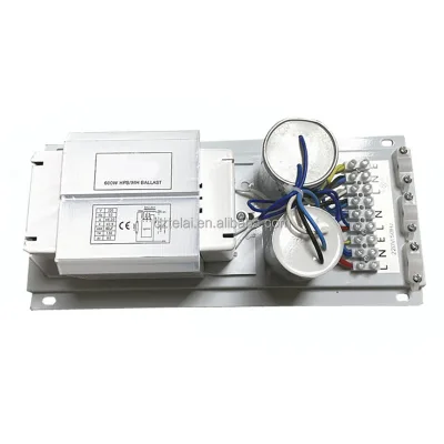 Indoor Plant tools Growing 600W MH/HPS Lighting Ballasts Hydroponic Open Magnetic Ballast 250w 400w 600W Magnetic Ballast