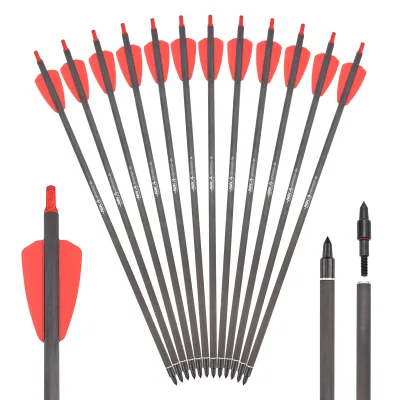 New Developed Good Quality Field Point Plastic Vanes Carbon Shaft 15'' Bolts for Outdoor Shooting