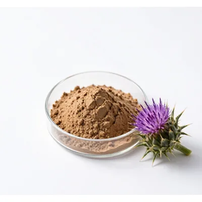 Milk Thistle Supplement Silybin 98% Milk Thistle Seed Extract Powder Best Price for Sale
