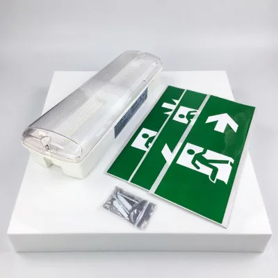BAIYI IP65 LiFePO4 Battery TUV Reinland CE Approved Emergency Bulkhead LED Lights 6500K 3-Year Warranty