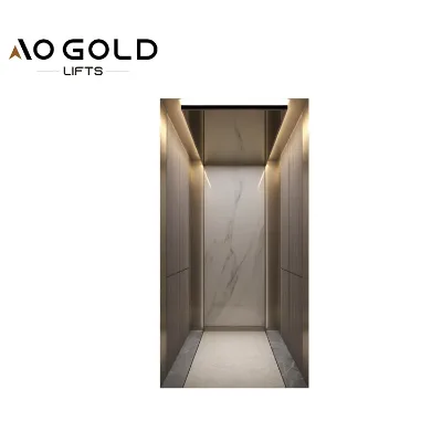 450kg 3 Floor Vvvf Small Apartment Villa Home Elevator Cabin