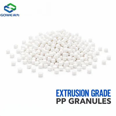 PP Extrusion Grade Granules Sheet Grade Polypropylene Pellets for Sheet Extrusion & Thermoforming