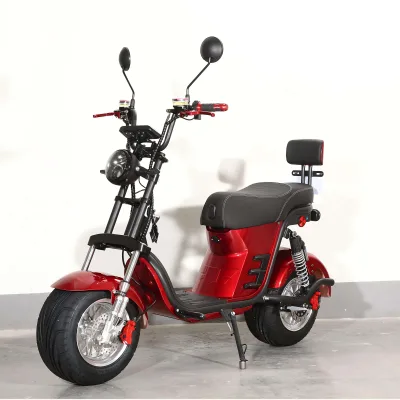 1500W Brushless Foldable E Bike Rear Hub Aluminum Alloy LED Digital 60V Lithium Battery Hydraulic Suspension Waterproof 50km/h