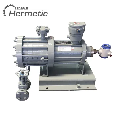 CHINA Hermetic Canned Motor Pump CAM