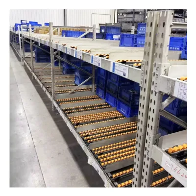 DJ Customizable Flow-Through Rack Advanced First-In-First-Out Mobile Shelving for Efficient Warehouse Factory