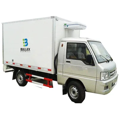 Professional Refrigerated Cold Room Van Truck Bodies Mini Refrigerated Truck