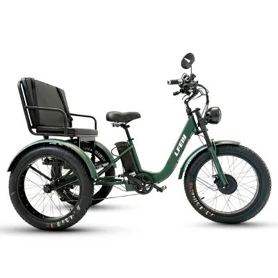 Jacaranda 24 Inch 750W Snow Beach Off-road E-trike Adult Cargo Bike Fat Tire Electric Tricycle