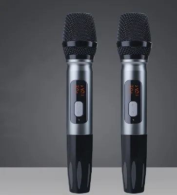 Adjustable-frequency Wireless Microphone Metal Body Anti Interference Conference Karaoke Equipment One-to-two Reception Stable
