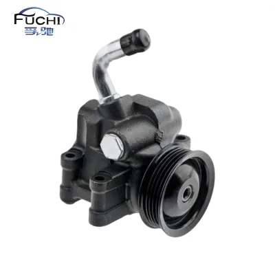 1666079 1141655 1227887 1332457 1357617 1363849 1366465 1426694 1495668 Hydraulic Power Steering Pump for Ford Fiesta 2001-2009