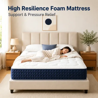 DIAS Modern Breathable Eco-Friendly High Resilience Foam Mattress Removable Cover Vacuum Compress Roll Box Medium Firmness Back