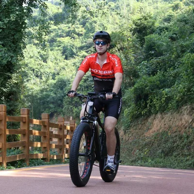 Adult off Road Electric Motor Bike High Power 26'*4.0 Inch Fat Tire 60v 750w 1000w Electric Road Bike