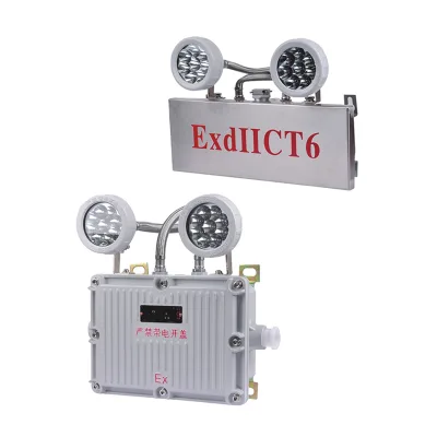 IP65 Explosion-proof Emergency Lighting LED 3Wx2 IIB IIC Extb Aluminum Alloy Lamps Customized Rechargeable Light