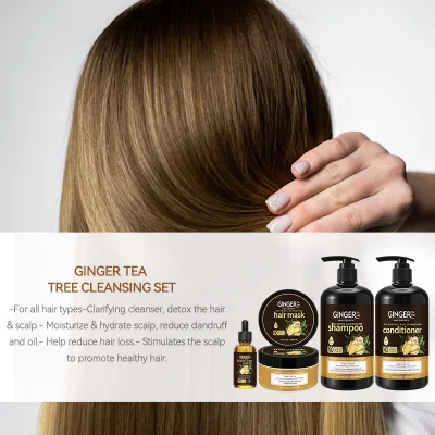 Manufacturer Wholesale Ginger Hair Care Cream Includes Shampoo Conditioner Hair Sheet  Oil-Oil Control Fragrance Retention