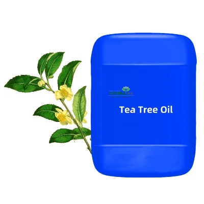 Wholesale Nature Tea Tree Hair Oil Essential Oil 100% Pure Natural Organic Tea Tree Oil for Hair Skin Care