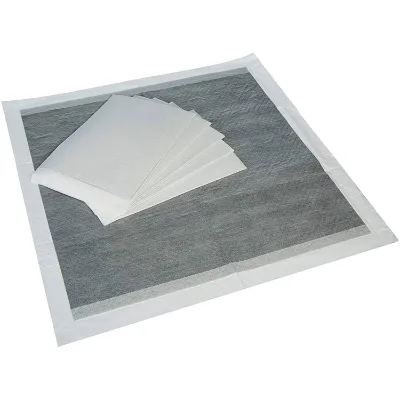 Super Absorbent Biodegradable Eco-Friendly Disposable Dog Training Pads with Bamboo Charcoal Odor Control for Puppies